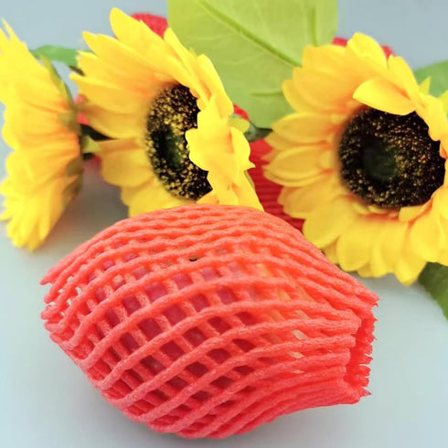 Markeny Packing (50PCS Red-14x7cm) Fruit Protection Mesh Bags Transport Vegetable Fruit Fragile Items Dedicated Fruit