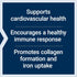 Life Extension Vitamin C & Bio-Quercetin Phytosome - Ultra-Absorbable Quercetin for Immune Support - 250 Vegetarian