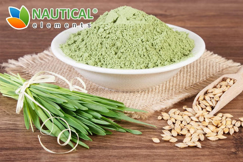 Barley Grass Powder - USDA Certified Organic, Non-GMO, Vegan, Rich in Antioxidants, Protein, Fiber, 200 Grams