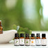 Natural Blend Essential Oil Set - 6 pcs for Diffusers, Aromatherapy, Gifts for Home, Office, Car