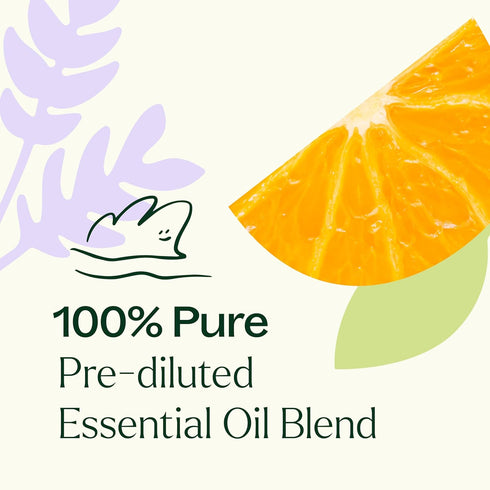 Plant Therapy Meditation Essential Oil Blend, 100% Pure, Pre-Diluted Roll-On, 10 mL (1/3 oz), Therapeutic Grade