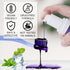 Smddx Purple Toothpaste for Teeth Whitening |Purples Teeth Whitening Kit |Stain Removal & Enamel Safe | Fresh Breath