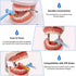 Complete IPR Kit for Orthodontic Treatment, Interproximal Enamel Reduction Set with Manual Handpiece and Polishing