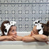 Spa Headbands for Women, Washing Face Bow Tie Head Band, Cute Skincare Headband for Teen Girls, Cow Print