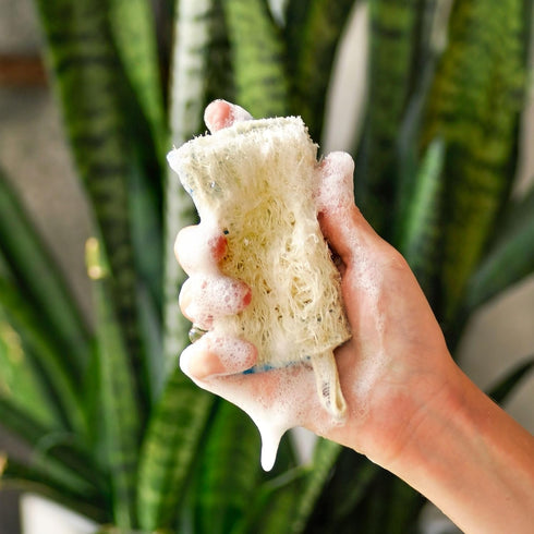 SUPERBEE Natural Kitchen Sponges 10 Pack - Eco-Friendly, Plant-Based Biodegradable Loofah Dish Sponge, Zero-Odor