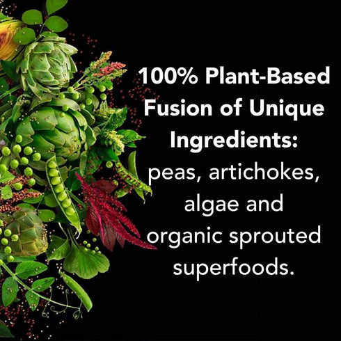 PlantFusion Complete Vegan Protein Powder - Sample Packets with BCAAs and Pea Protein - Vanilla Pack of 4