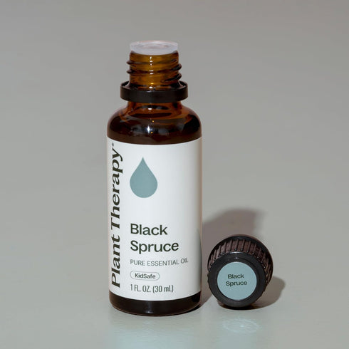 Plant Therapy Black Spruce Essential Oil, 30 mL (1 oz), 100% Pure, Undiluted, Therapeutic Grade