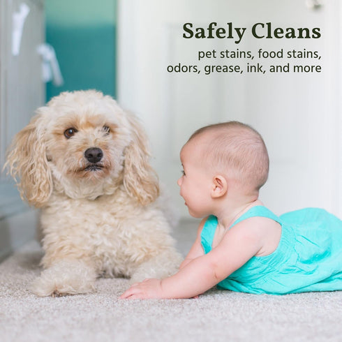 Naturally It's Clean Carpet Stains & Odors Cleaner, 24oz Spray Bottle, 2 Pack