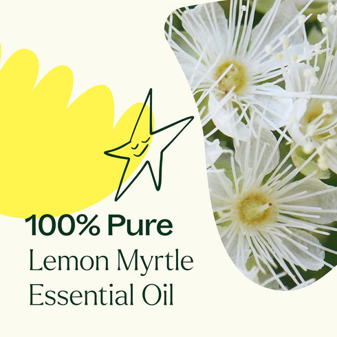Plant Therapy Lemon Myrtle Essential Oil 10 mL (1/3 oz) - 100% Pure, Undiluted, Therapeutic Grade Oil