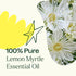 Plant Therapy Lemon Myrtle Essential Oil 10 mL (1/3 oz) - 100% Pure, Undiluted, Therapeutic Grade Oil