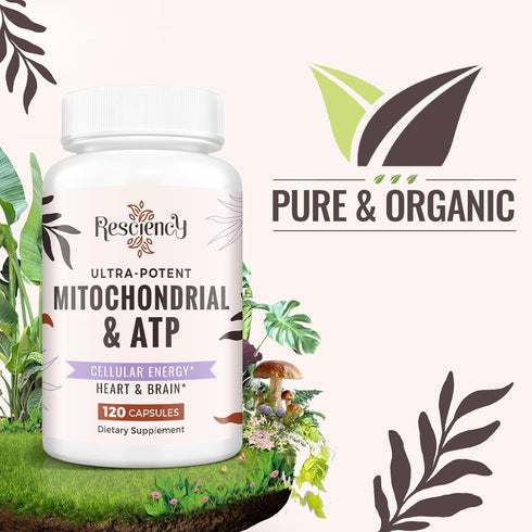 2326 MG Mitochondrial Supplements with ATP, CoQ10 & PQQ - 240 Capsules for Energy, Endurance, Strength & Recovery