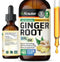 Ginger Root Tincture - Organic Ginger Root Extract - Natural Supplements for Overall Wellness - Vegan Drops 2 Fl.Oz.
