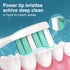 Aoremon Toothbrush Heads, Sonicare C2 Replacement Heads, Compatible with Phillips Sonicare Electric Toothbrush, 10 Pack