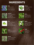 Vegetal Safe Hair Color - Dark Brown 50gm Certified Organic Chemical Free Hair Color for Men and Women