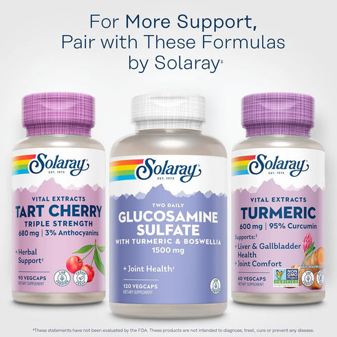 SOLARAY Turmeric Supplement 600mg - Turmeric Root with 95% Curcumin, Joint Support, 60 Servings