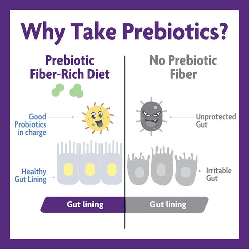 InnovixLabs Prebiotic Fiber Powder, High Fiber Supplement for Gut & Digestive Health, 30-Day Supply, No Added Sugar,