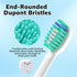 6 Pack Topkitfice Replacement Flossing Toothbrush Heads for Waterpik Sonic Fusion SF01/SF02, White