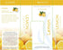 SpaRoom Aromatherapy 100% Pure Essential Oils for Diffusers, Cleanse Lemon - 10ml