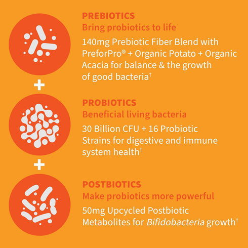 Garden of Life Dr Formulated Once Daily 3-in-1 Probiotics, Prebiotics & Postbiotics, 30 Billion CFU, 30 Day Supply