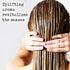 PHARM TO TABLE Rosemary & Mint Conditioner, 480ml for Men and Women, Moisturizes Dry Hair