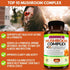 Natural Genius Top 10 Mushroom Extracts - Immune Booster with White Button, Lions Mane, Cordyceps, Chaga, Reishi Plus