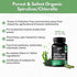Chlorella Spirulina Powder Capsules - Organic 3000 mg Purest Blue Green Algae, Best Natural Detox Superfood