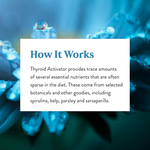 Nature's Sunshine Thyroid Activator, 100 Capsules