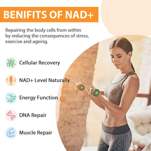 Liposomal NAD+ Supplement - 500 mg, High Absorption with TMG 250 mg for Cellular Energy & Healthy Aging