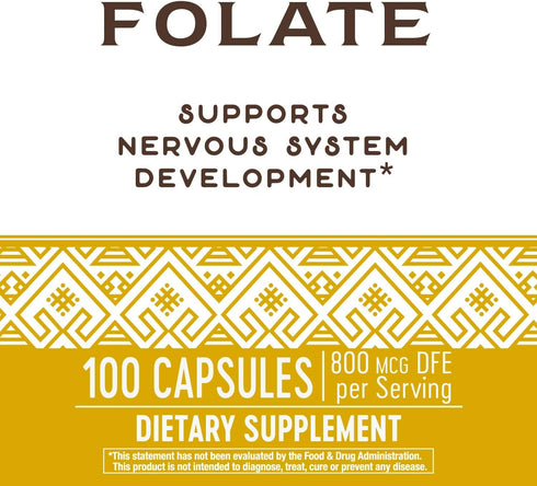Nature's Way Folic Acid, 800 mcg DFE per Serving, 100 Capsules