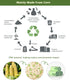 AYOTEE 1.6-2 Gallon Compostable Trash Bags, 50 Count Mini Biodegradable Kitchen Food Scrap Waste Bags with Handle Tie