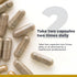 Fem Balance-FX 60 Capsules - Vegan Comprehensive Formula for Premier Female Health Support