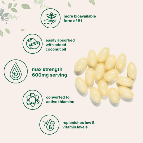 Micro Ingredients Vitamin B1 Benfotiamine 600mg, 240 Coconut Oil Softgels, Non-GMO, Soy Free Supplement