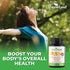 DHEA 100mg Supplement for Women and Men | Pure High Strength Micronized Dehydroepiandrosterone | 90 Caps (3-Month