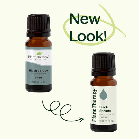 Plant Therapy Black Spruce Essential Oil, 30 mL (1 oz), 100% Pure, Undiluted, Therapeutic Grade
