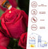 yethious Rose Essential Oil - 100% Pure Rose Scented Oil for Diffuser & Aromatherapy, 10ML