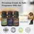 Set, Clean & Masculine Fragrance Oils AmaKane Fragrance Oil for Candle Making, Aromatherapy Essential Oils for Diffuser