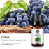 Grape Essential Oil 100% Pure Oganic Plant Natrual Flower Essential Oil for Diffuser Message Skin Care - 10ML