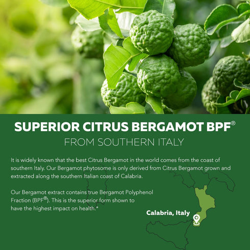 SoActive Bergamot - 2.5X More Effective Italian Citrus Phytosome - Supports Cholesterol & Cardiovascular Health, 60