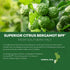 SoActive Bergamot - 2.5X More Effective Italian Citrus Phytosome - Supports Cholesterol & Cardiovascular Health, 60