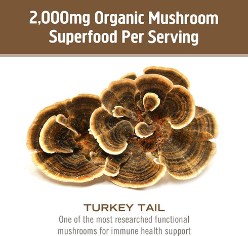 OM MUSHROOM SUPERFOOD Turkey Tail Mushroom Capsules - 90 Count Superfood Supplement for Immune Support, Gut Health &