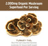 OM MUSHROOM SUPERFOOD Turkey Tail Mushroom Capsules - 90 Count Superfood Supplement for Immune Support, Gut Health &