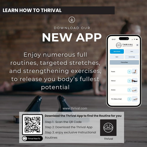 Thrival Wave - Fully Adjustable Psoas, Back and Hip Flexor Muscle Release Tool with Thrival App for Targeted Routines