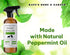 Kate Naturals Peppermint Oil Spray for Rodents, Mice, Raccoon, Bat, and Squirrels, Non-Toxic Indoor & Outdoor (16oz)
