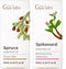Spruce Essential Oil for Diffuser & Spikenard Essential Oil for Hair Set