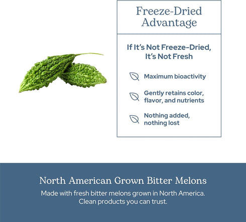 ECLECTIC INSTITUTE Raw Fresh Freeze-Dried Non-GMO Bitter Melon, 90 CT (200 mg)