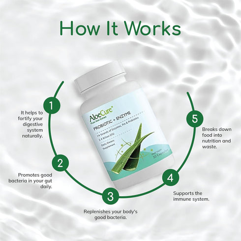 AloeCure Probiotics + Enzyme Capsules for Women's Digestive Health with 2.4 Billion CFU - Daily Aloe Supplement, Full Spectrum Probiotic + Prebiotic Supplement, Gut Support, Super Enzymes, 30 Capsules