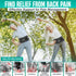 Modvel Back Braces for Lower Back Pain Relief with 6 Stays, Breathable Support Belt for Men/Women, Anti-skid Lumbar