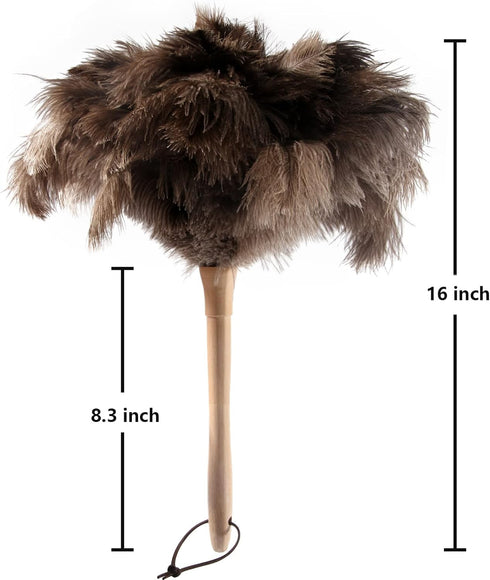 THARAHT 1PCS Ostrich Feather Duster, Fluffy Natural with Wood Handle, Reusable for Cleaning Keyboard and Home