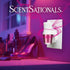 Set 2 Scentsationals Plug in Air Freshener Starter Swivel Plug Fragrance Oil Diffusers & Long Lasting Scent Refills
