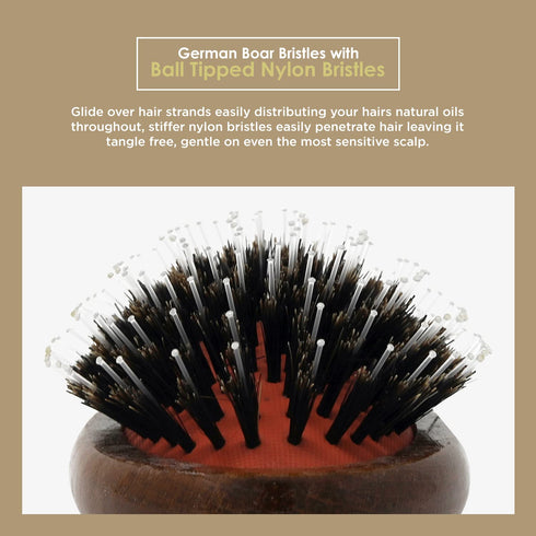 Spornette Boar Bristle Hair Brush for Women, Porcupine Brush for Detangling, Straightening & Smoothing
